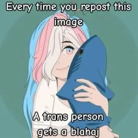 A drawing of a person trans-pastel hair is hugging a blahaj plushie.

Top text says "Every time you repost this image"

Bottom text says "A trans person gets a blahaj"